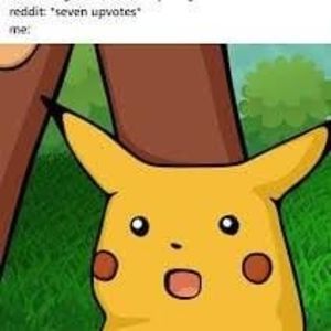 Meet your Posher, Rory